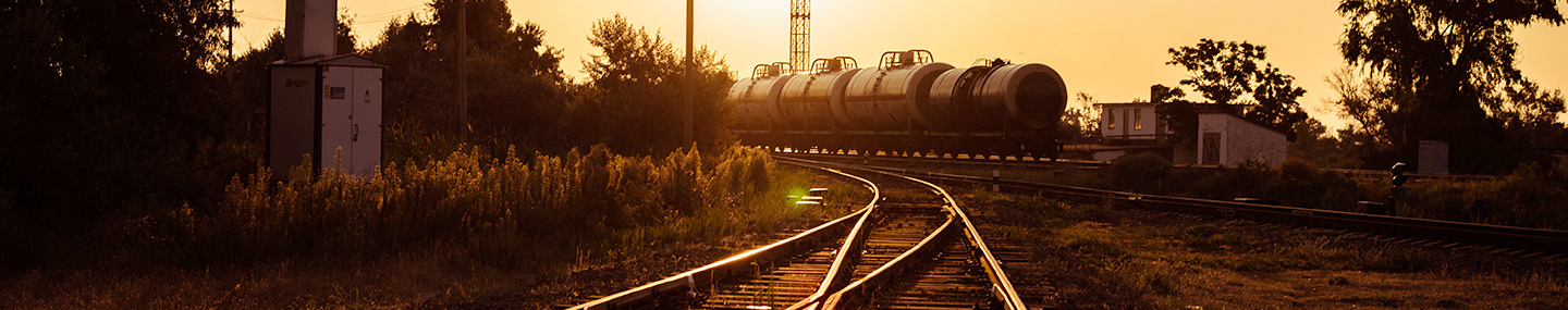 A BABOON, A DONKEY, AND ME