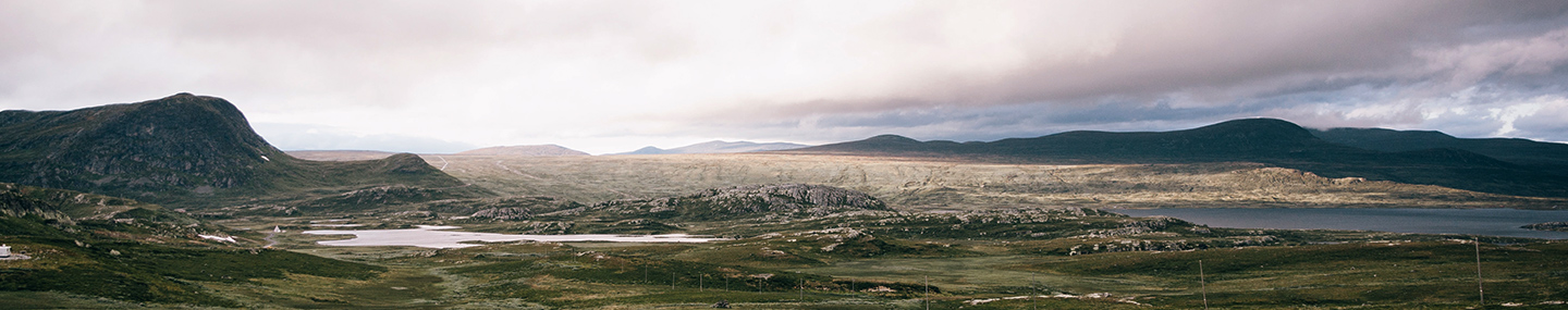 A LUDICROUS INVESTMENT