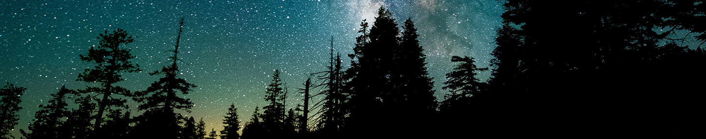 &quot;AND IT WAS NIGHT&quot;