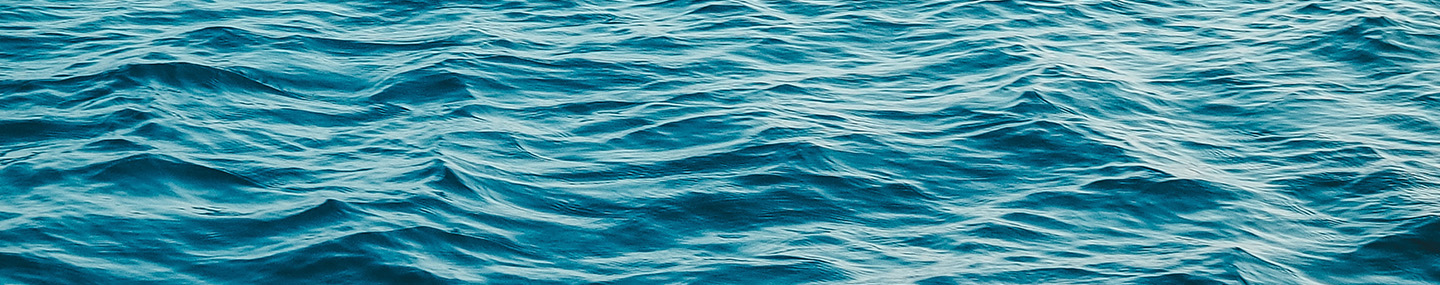 APPETITE FOR DISTRACTION