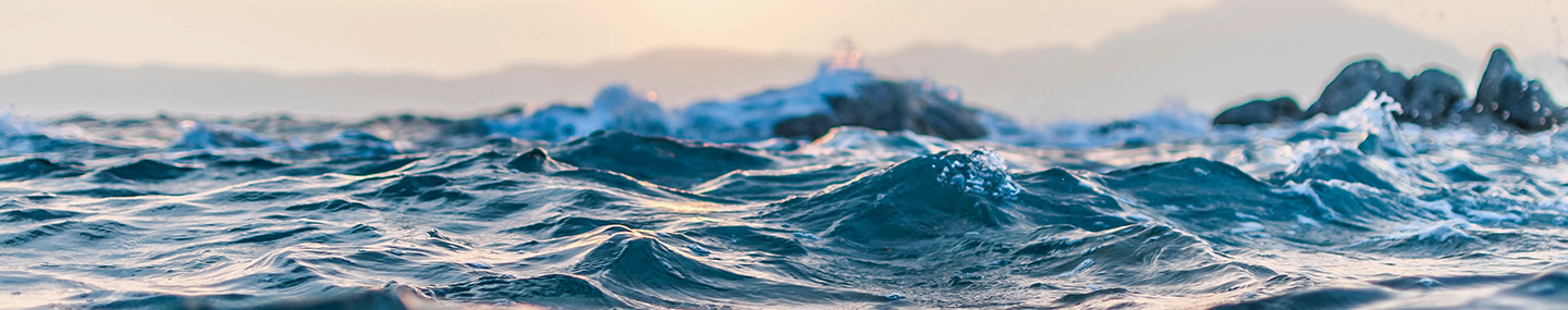 CARRIED THROUGH THE STORM