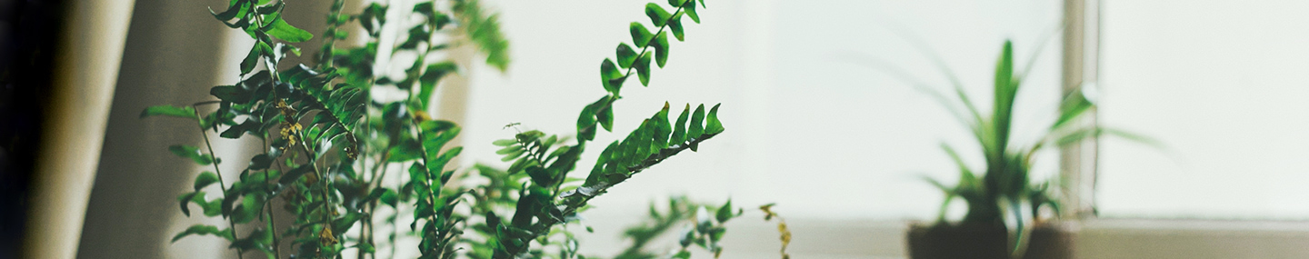 FINDING JOY IN THE MEANINGLESS