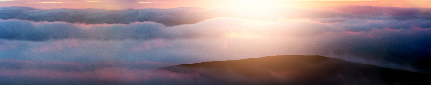 GOD&#039;S GOOD GLUE