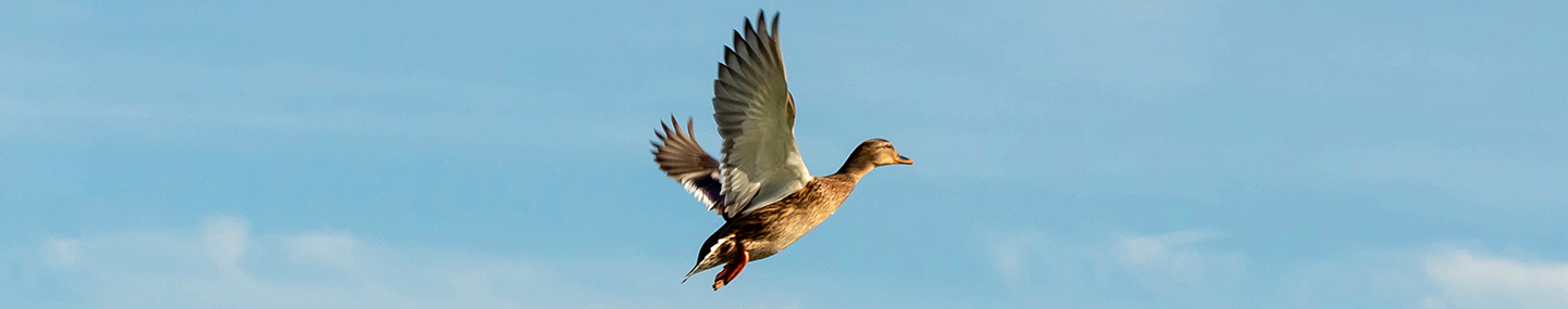 GATHERING STRENGTH IN GOD