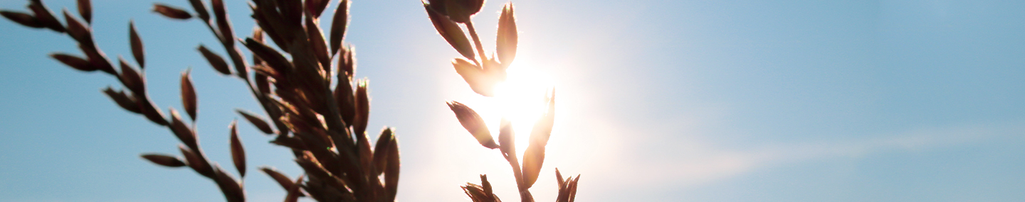 GOD REDEEMS OUR PAIN