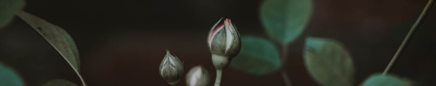 GOD&#039;S UNEXPECTED WAYS