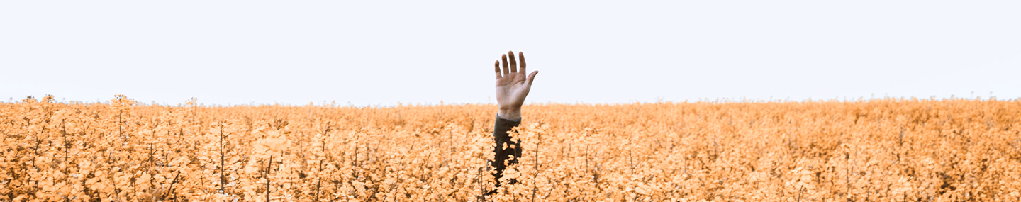 HOPE FOR THE HURTING