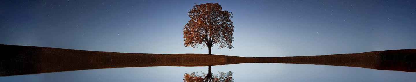 IN GOD WE PUT OUR TRUST