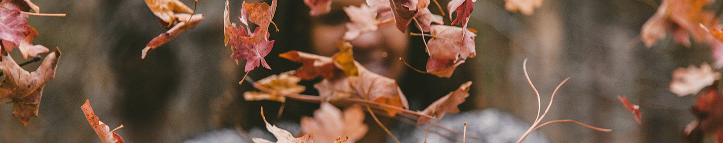 I&#039;M NOBODY! WHO ARE YOU?