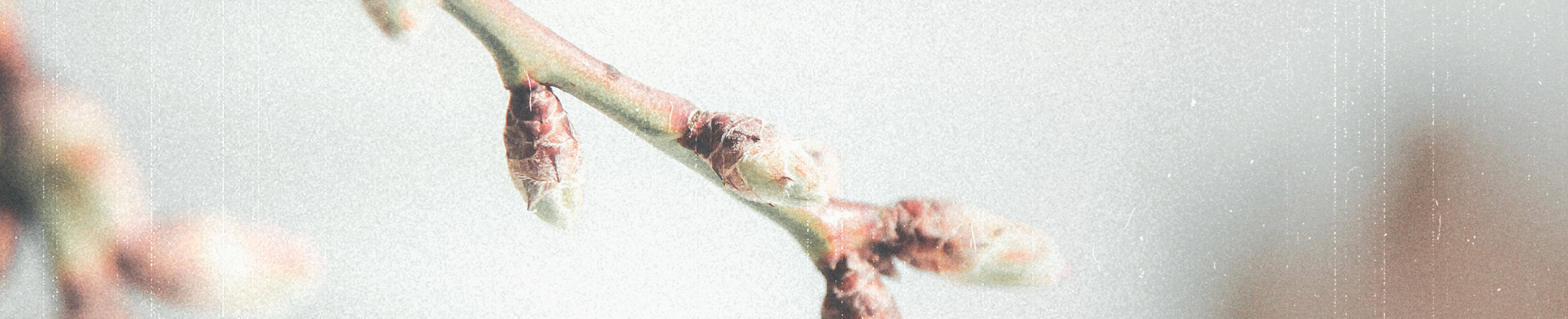 KINGDOM-MINDED LEADERSHIP