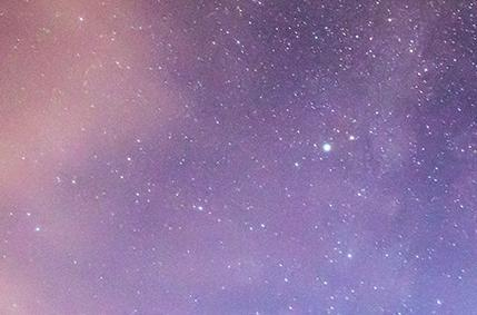 MONKEYING WITH THE COSMOS
