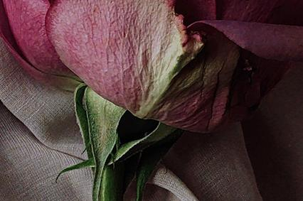 MORTALITY AND HUMILITY