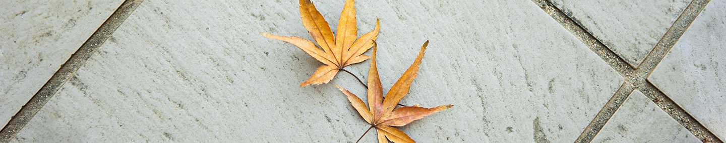 NOTHING CAN SEPARATE