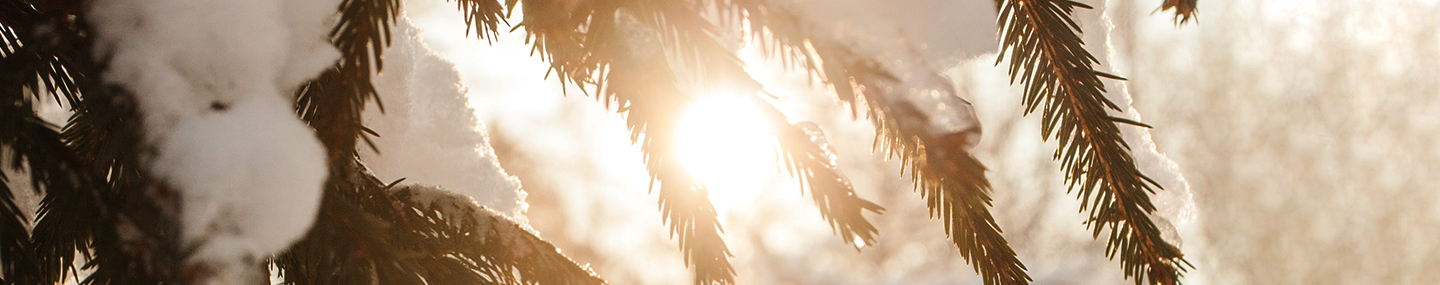 ONE DAY CLOSER TO CHRITMAS