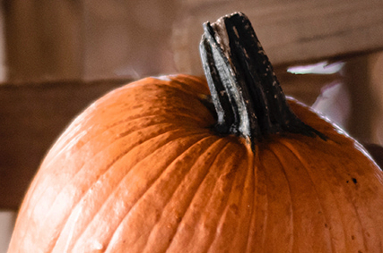 REDEEMING THE SEASON