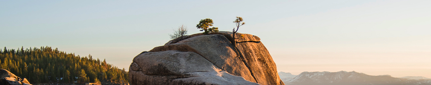 RELINQUISHING CONTROL TO GOD