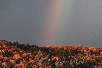SPOTTING RAINBOWS OF HOPE