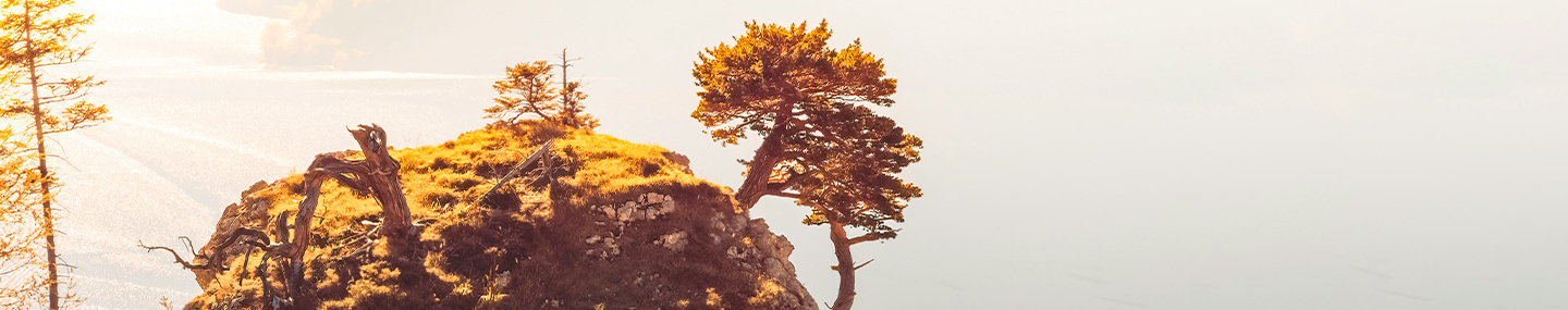 STANDING FIRM BY FAITH