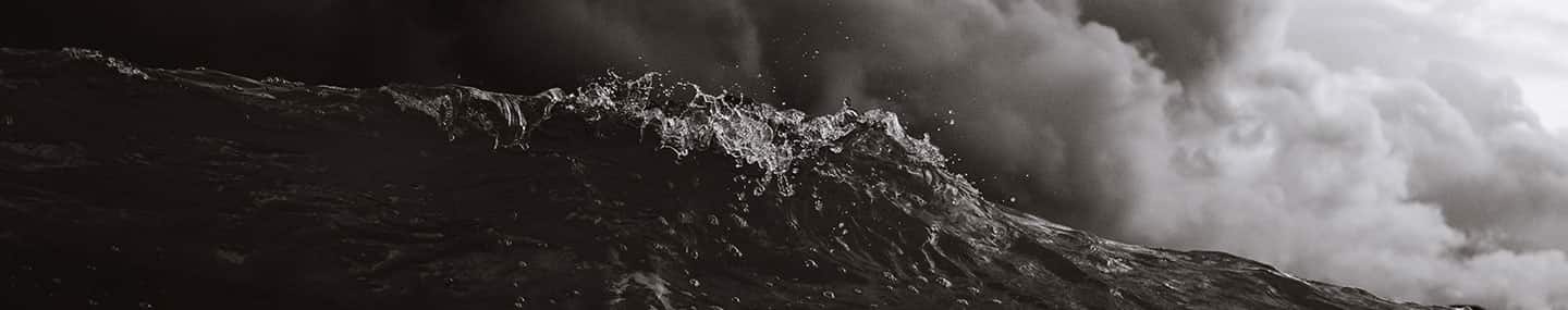 THE FORECASTER&#039;S MISTAKE