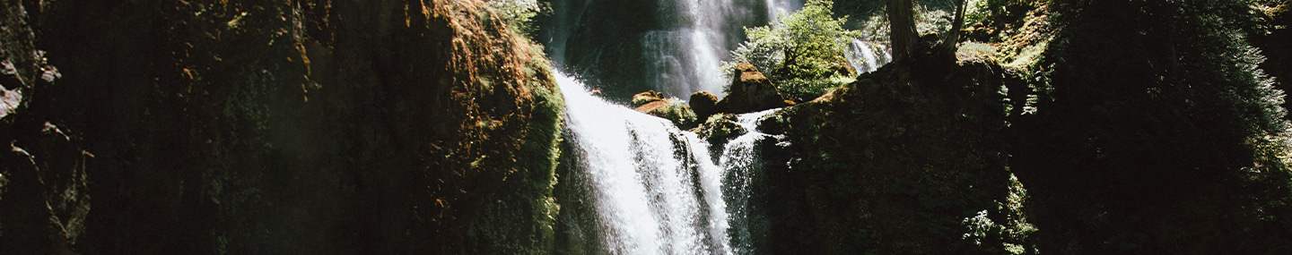 THE GIFT OF REPENTANCE