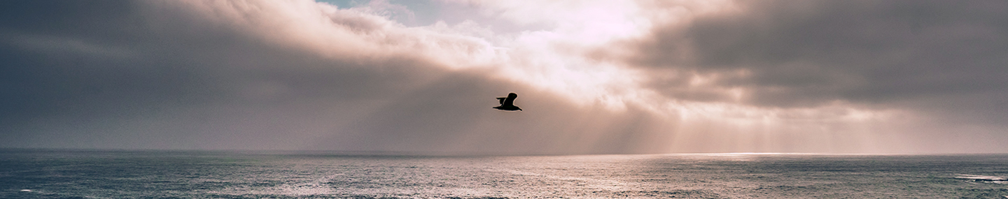 THE VOICE OF THE FATHER