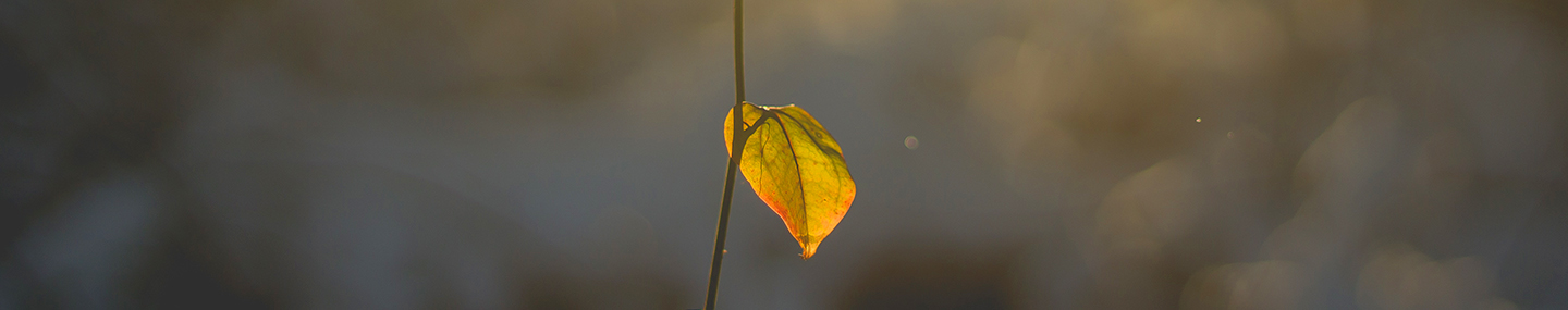 THE STORY ISN&#039;T OVER