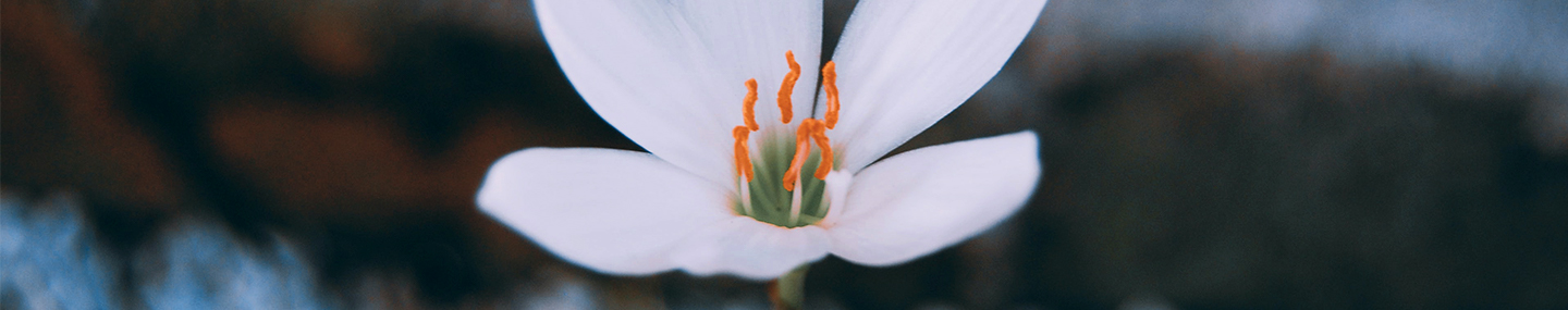 WHEN YOU CAN&#039;T GO ON