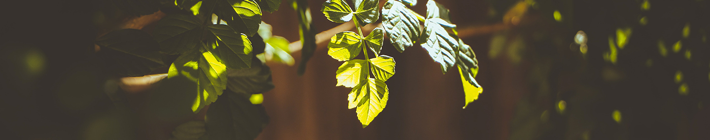 WE NEED JESUS&#039; HELP