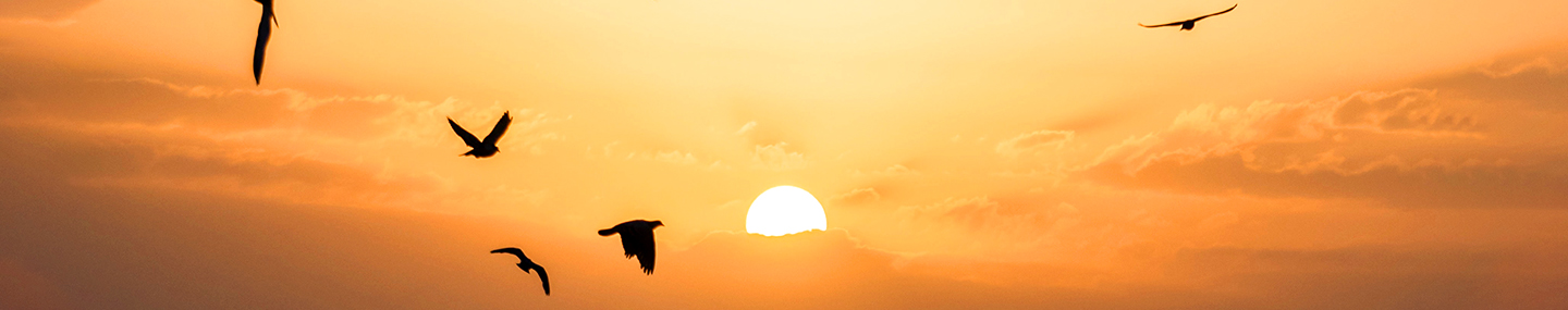 WHAT ONLY THE SPIRIT CAN DO