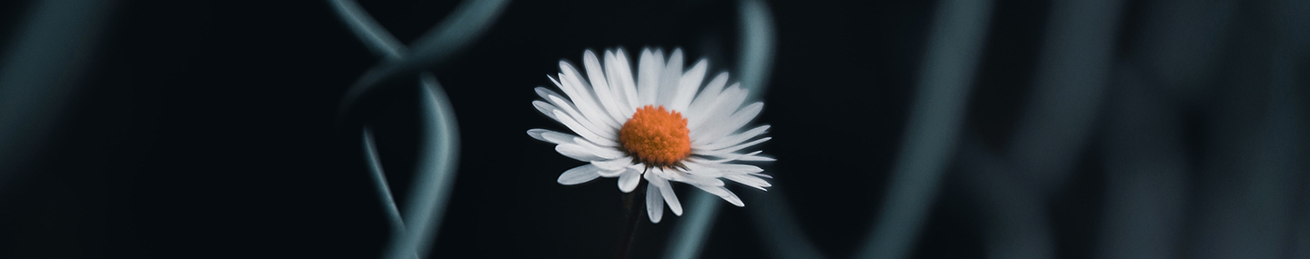 WHEN WEAKNESS IS STRENGTH