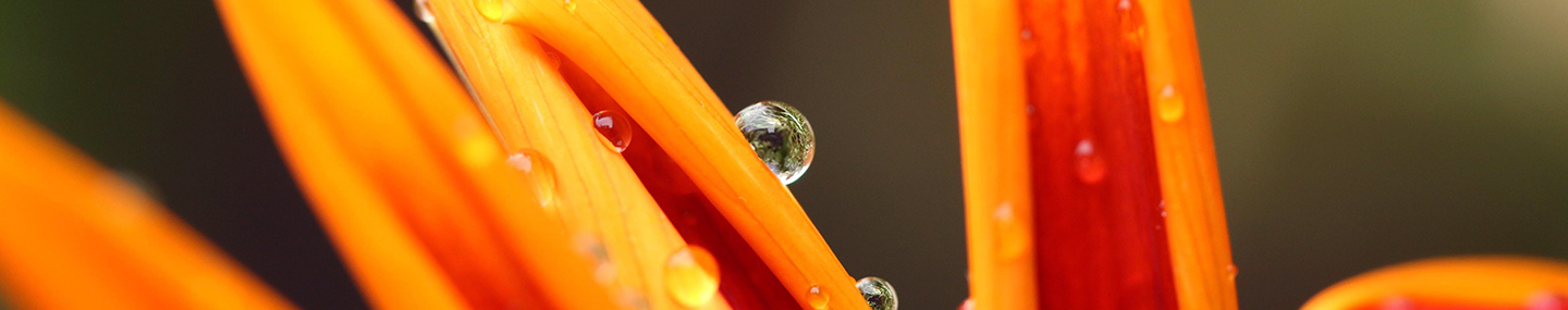 GOD’S RESTORING WAYS