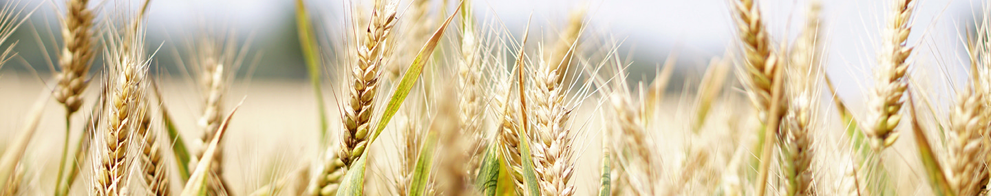 SEEKING GOD’S HELP