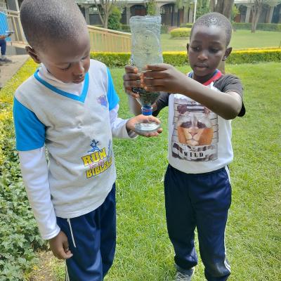 Grade 3 Environmental Lesson On Making A Water Filt