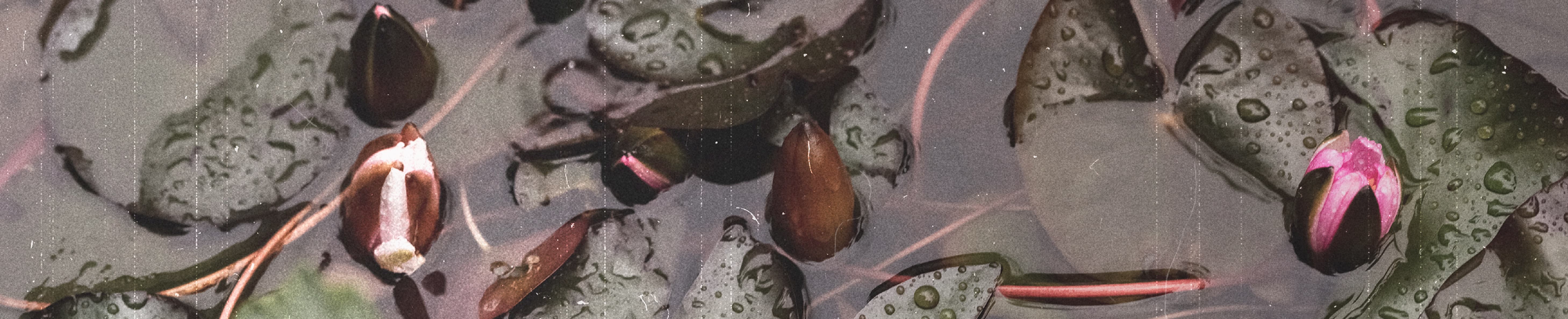 A NEW COMMAND TO LOVE