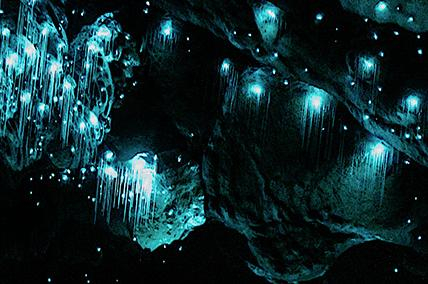 A THOUSAND DOTS OF LIGHT