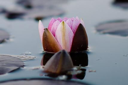 BE STILL