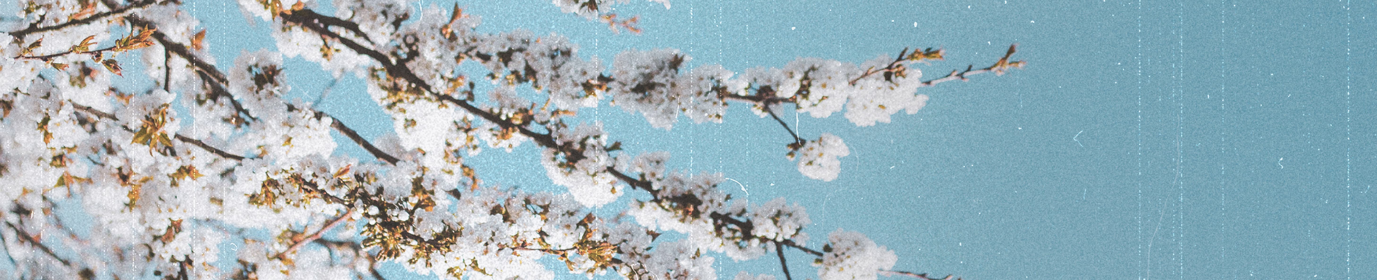 BITTERNESS OF STOLEN SWEETS