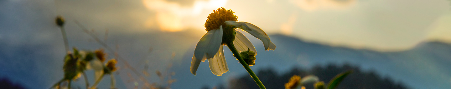 DRENCHED BY THE SPIRIT