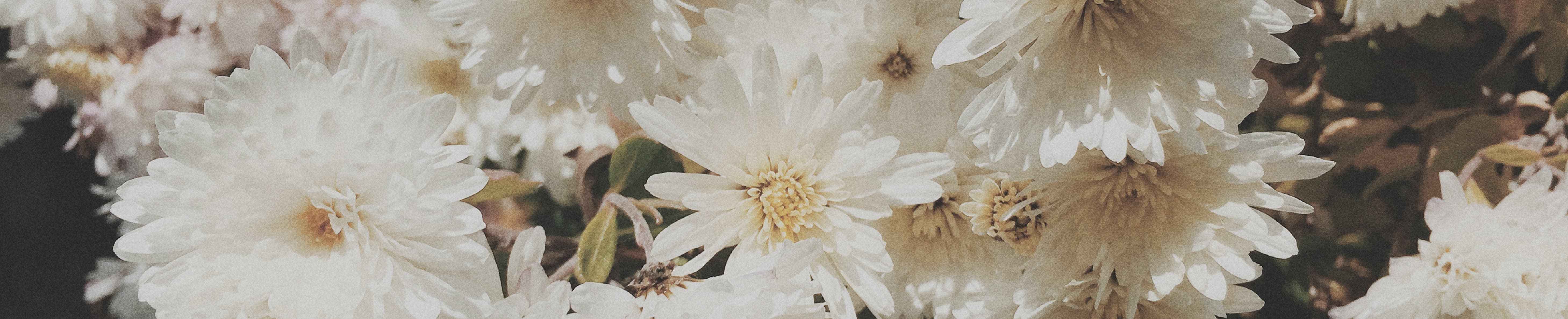 EXTENDING CHRIST'S KINDNESS