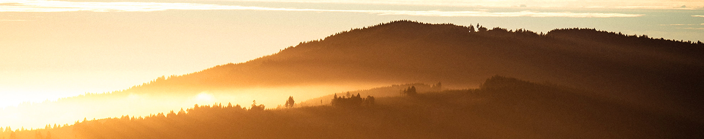 FROM DARKNESS TO LIGHT