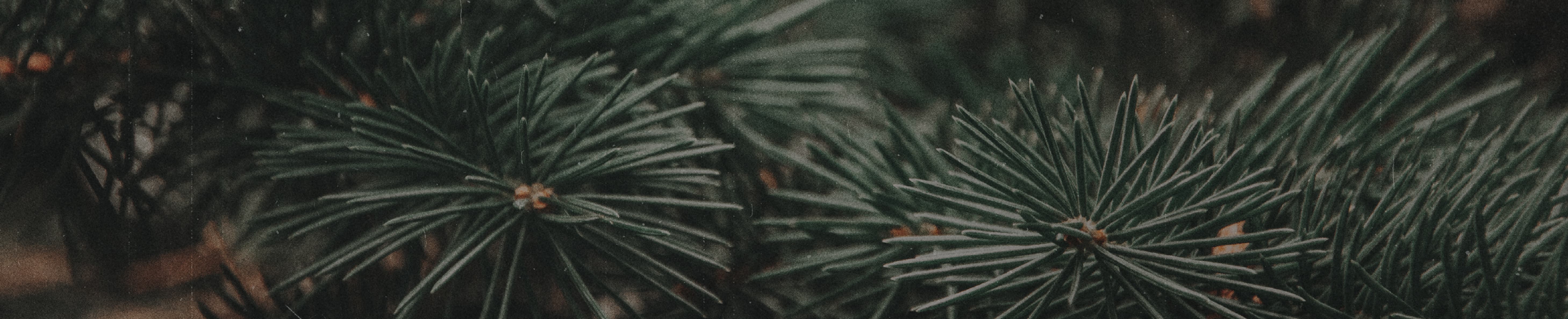 GOD AT THE CROSSROADS