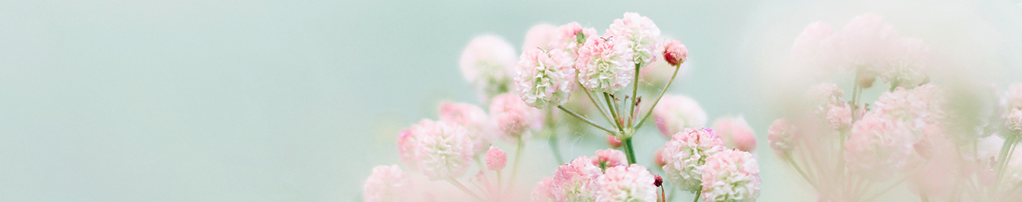 GOD'S GENTLE GRACE
