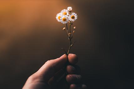 HOPE BEYOND CONSEQUENCES