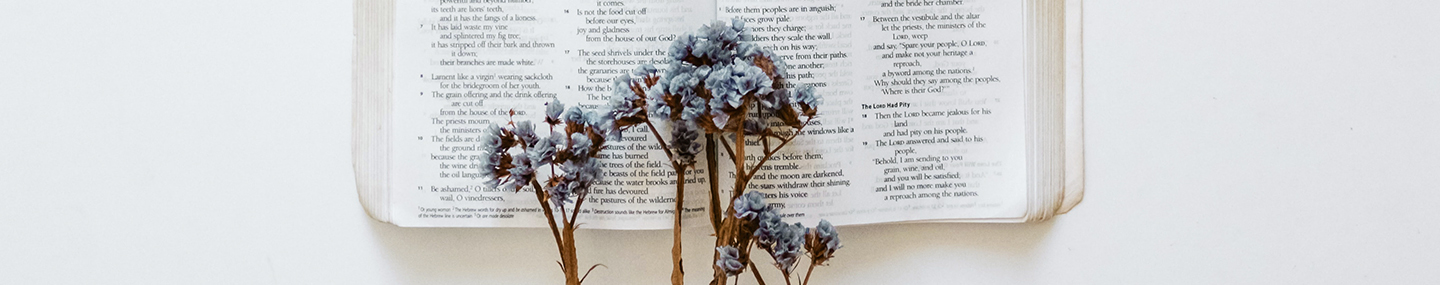 HOPE IN GRIEF OR LOSS