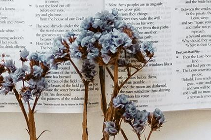 HOPE IN GRIEF OR LOSS