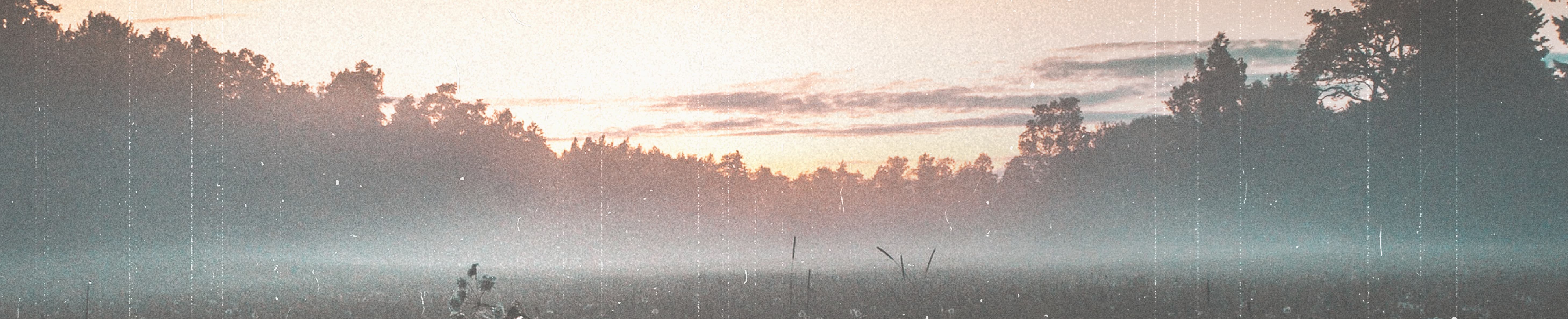 JESUS OUR SUBSTITUTE