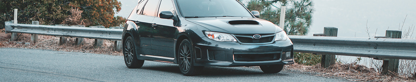 MORE THAN BRAND AMBASSADORS