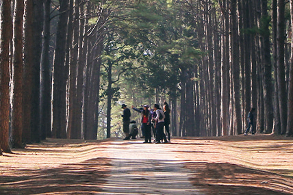 OUTSIDE THE CAMP 