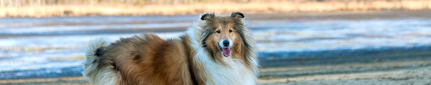 OUR HEART&#039;S TRUE HOME