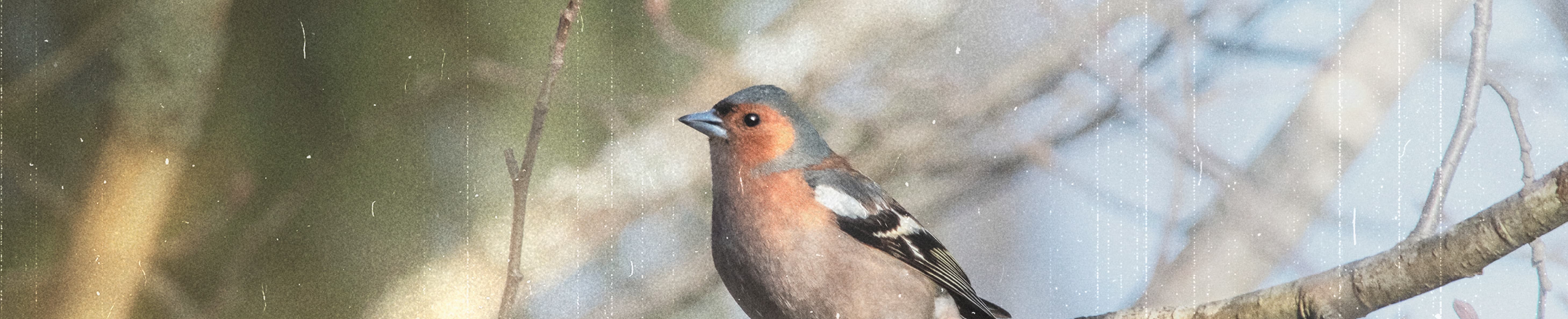 OUR NEW NATURE IN CHRIST